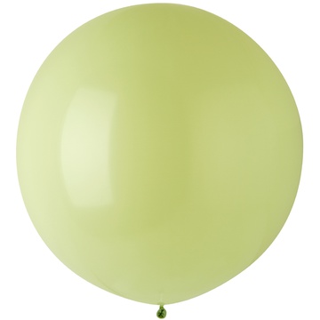 Everts 24"/781 Стандарт Macaron Pistachio 4 шт