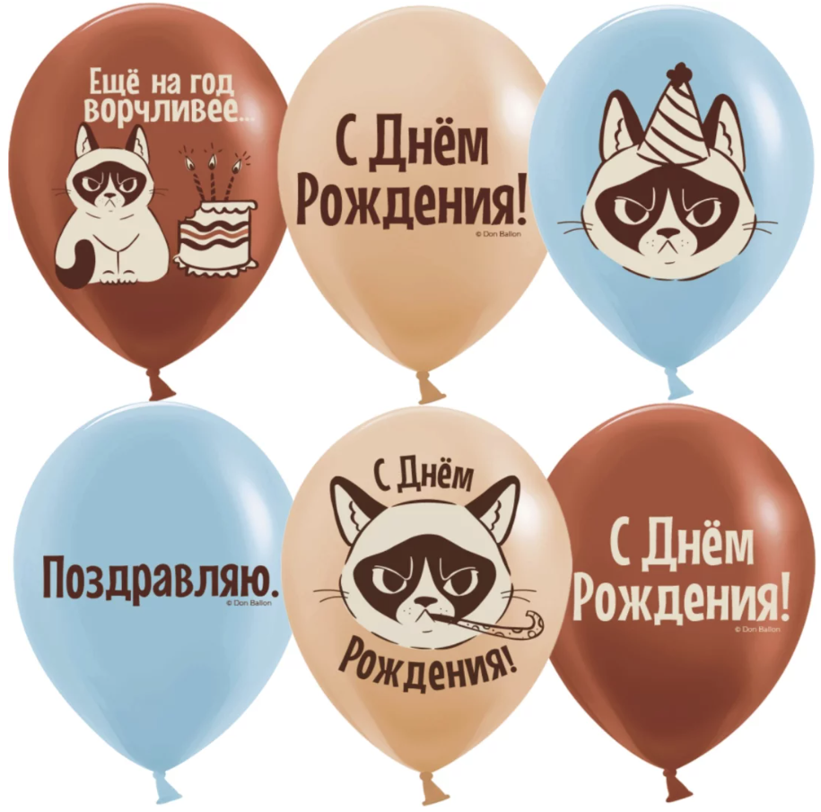 Дон Баллон Шар (12''/30 см) С Днем Рождения! (сердитая кошка), Ассорти, пастель, 2 ст, 25 шт.