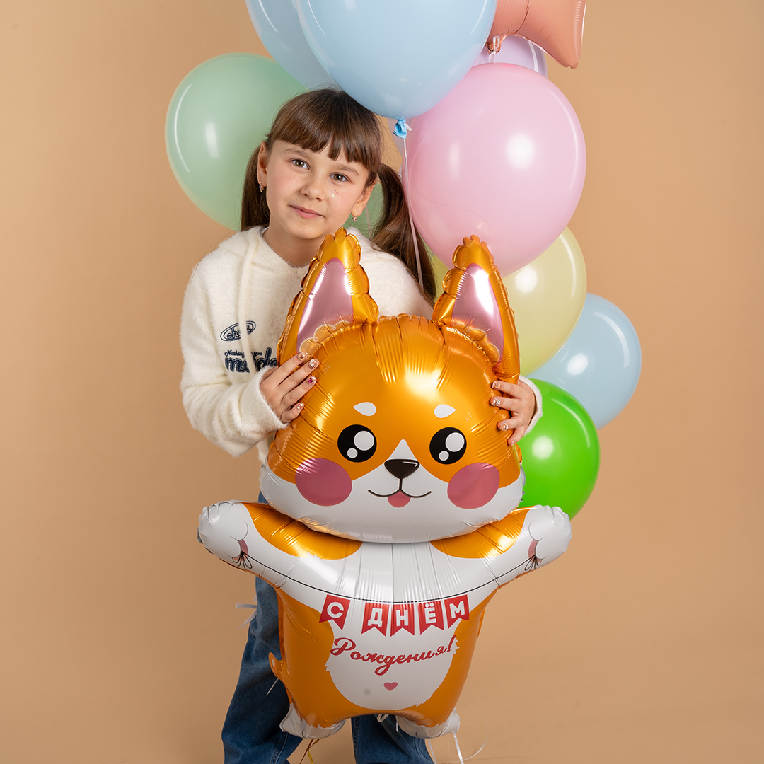 Falali (41" -105см) Корги на День Рождения, 1 шт/уп.